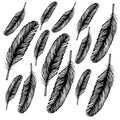 Feather bird drawing Ãâ¬attern ÃÂ°eathers set